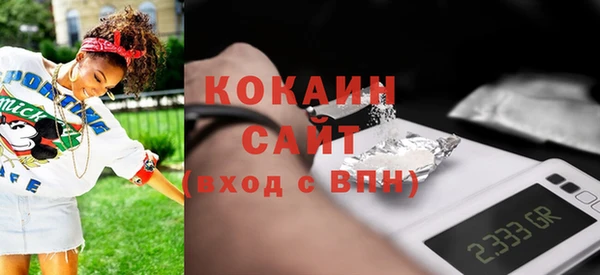 сатива Бронницы