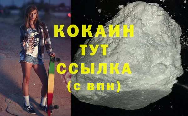 сатива Бронницы