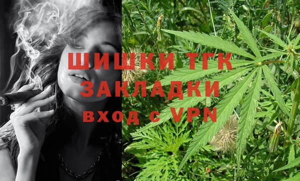 сатива Бронницы
