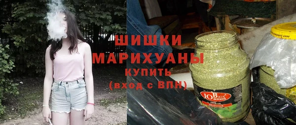сатива Бронницы